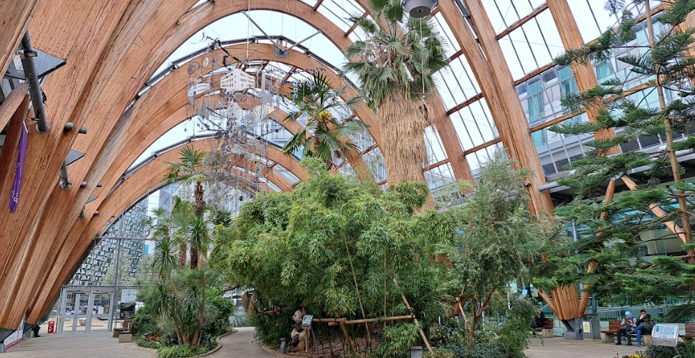 sheffield winter gardens, which can be seen on a day trip to sheffield