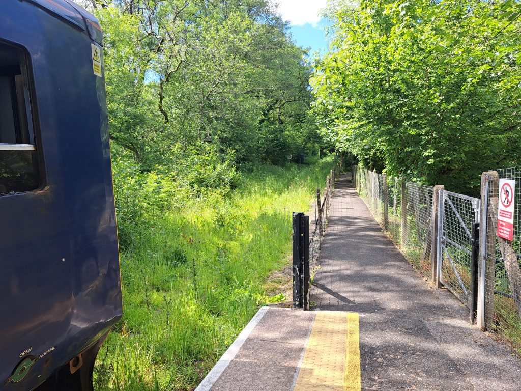 end of the line at coombe junction halt