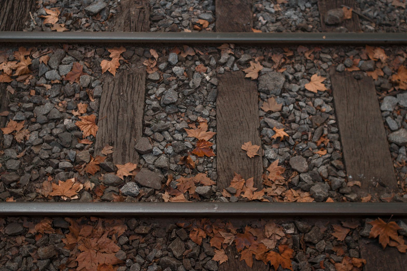 leaves on the line